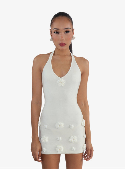 Bouquet Knit Dress